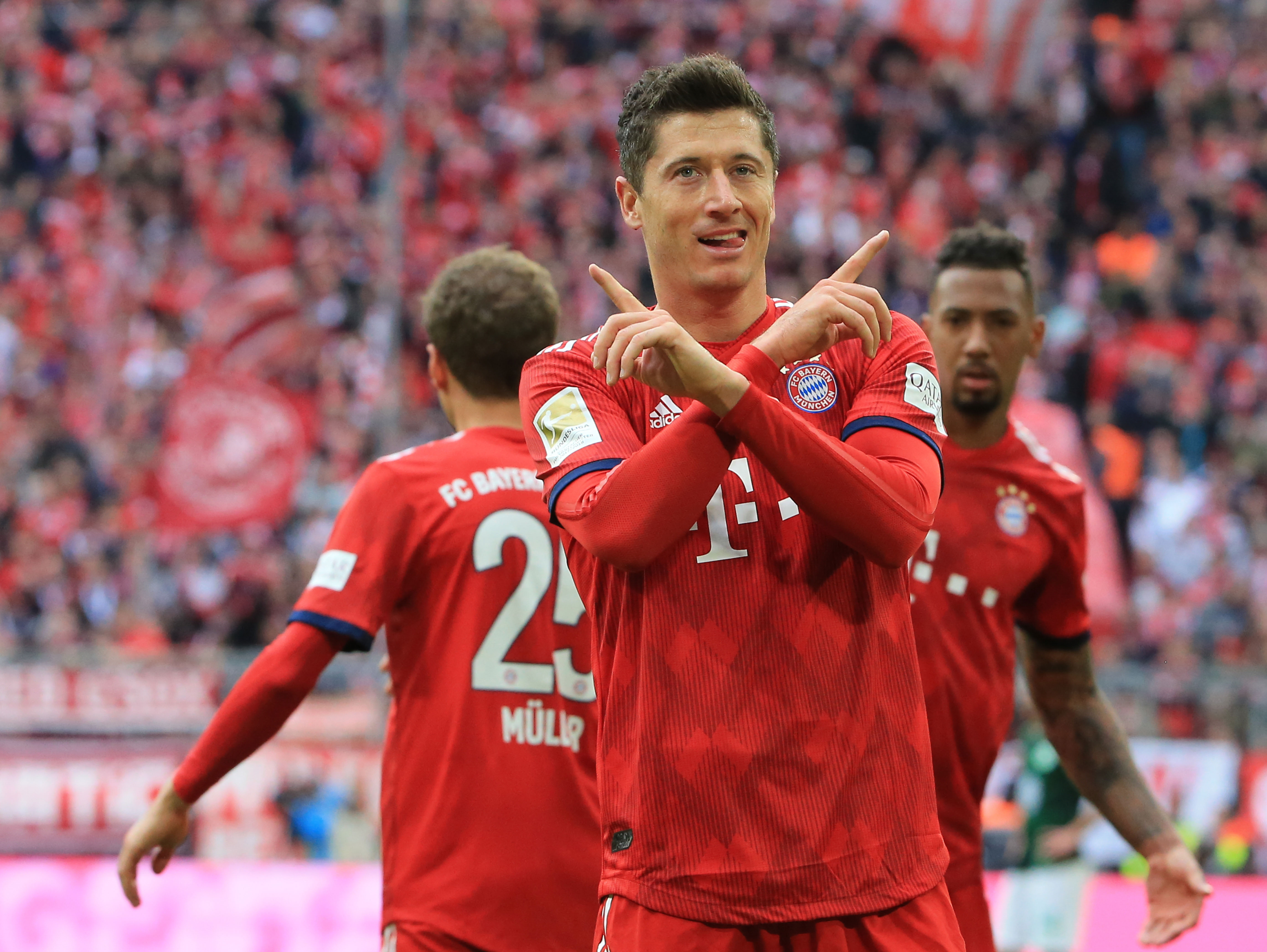 或许就能在 或许就能在